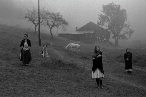 Nostalghia | Larsen On Film